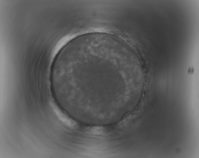 X0000113940104200910231953