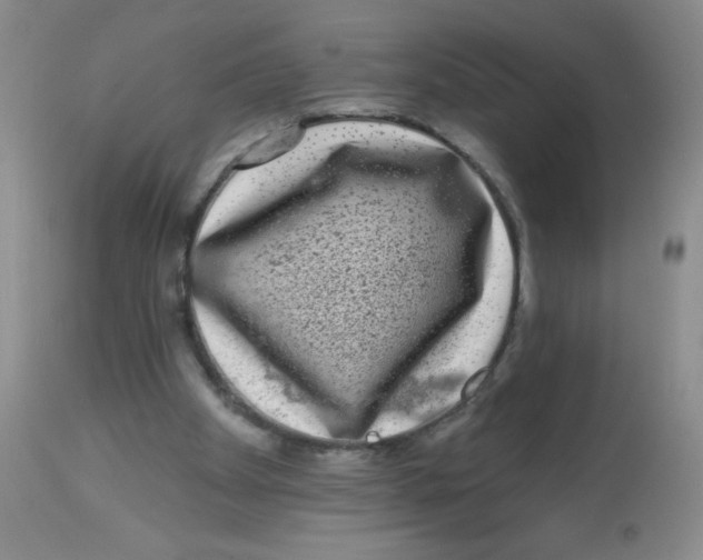 X0000113940105200910231953