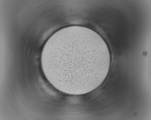 X0000113940106200910231953