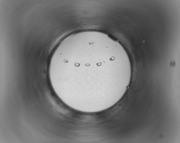 X0000113940107200910231953