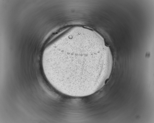 X0000113940108200910231953