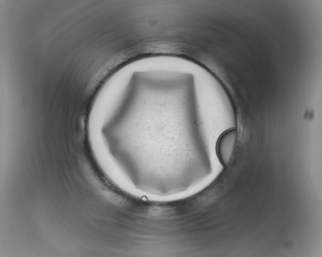 X0000113940109200910231952