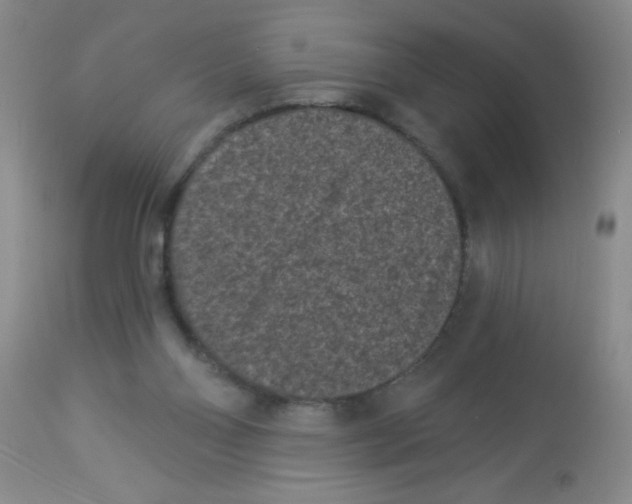 X0000113940110200910231952
