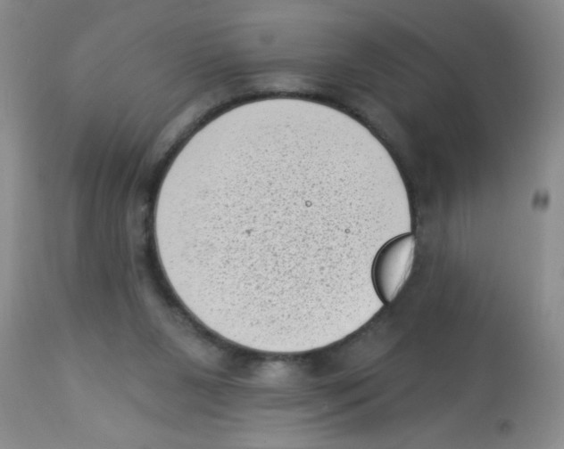 X0000113940111200910231952