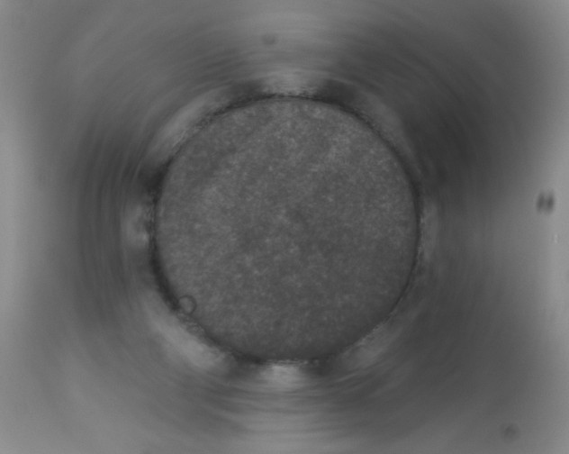 X0000113940114200910231952