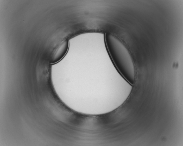 X0000113940116200910231952