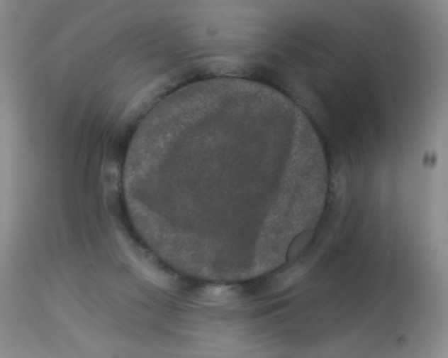 X0000113940117200910231952