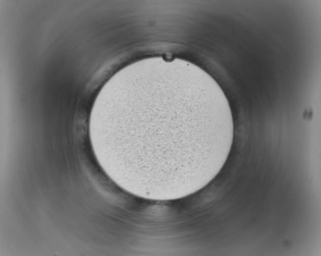 X0000113940119200910231952