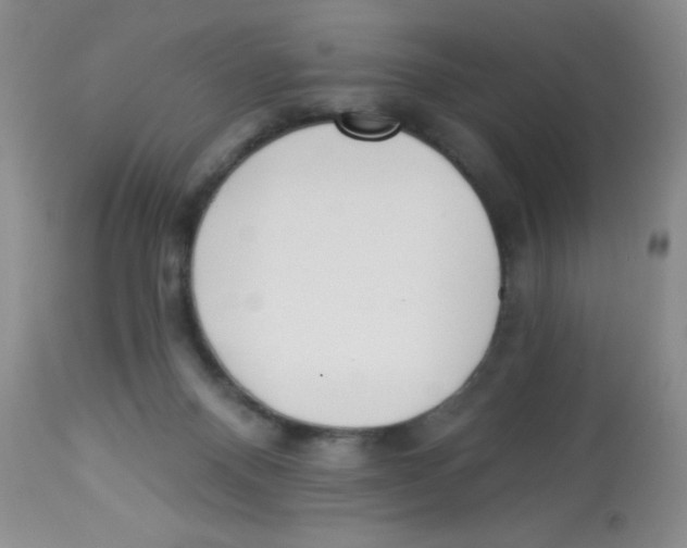 X0000113940120200910231952