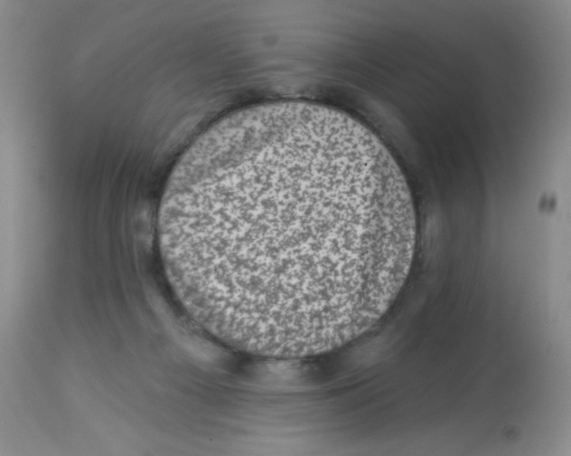 X0000113940121200910231952