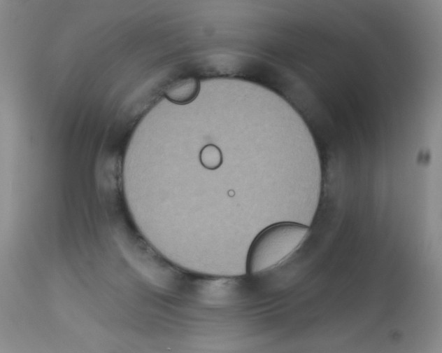 X0000113940122200910231952