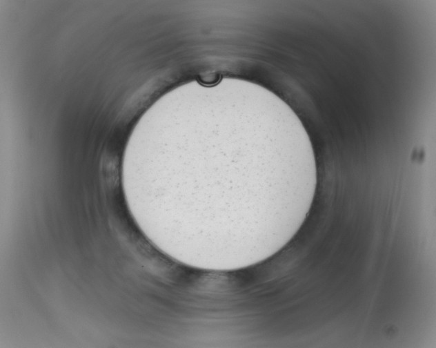 X0000113940123200910231952