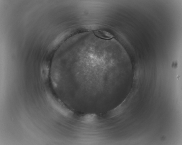 X0000113940124200910231952
