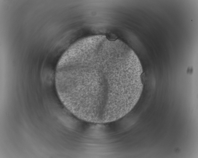 X0000113940125200910231952