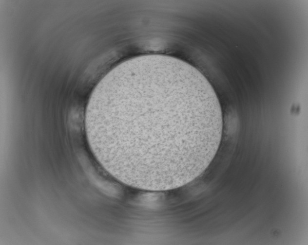 X0000113940126200910231952