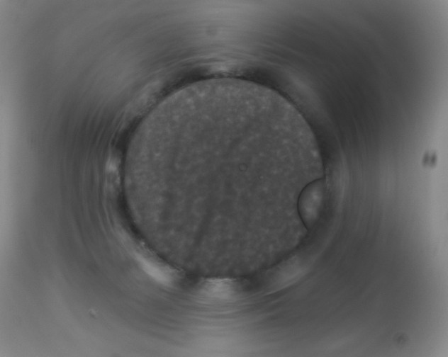 X0000113940127200910231952