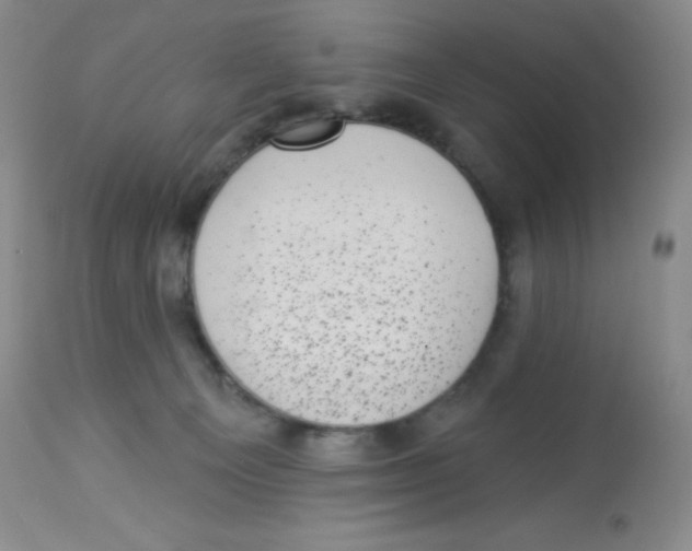 X0000113940129200910231952