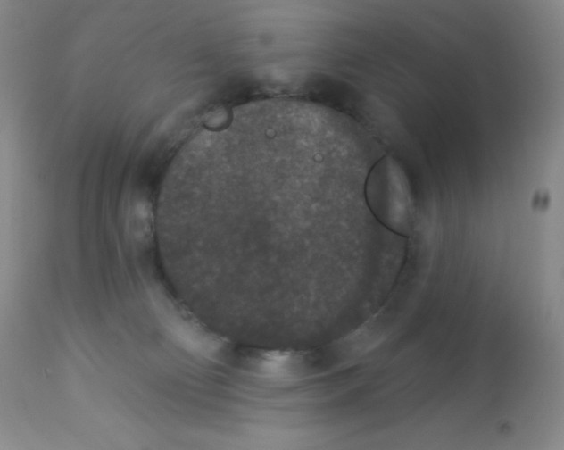 X0000113940130200910231952