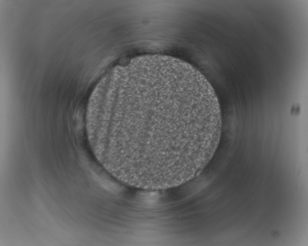 X0000113940131200910231952
