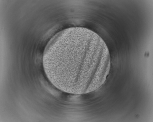 X0000113940132200910231952
