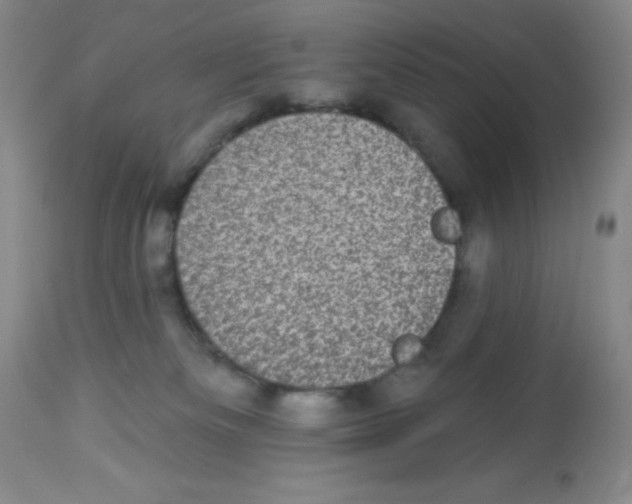X0000113940133200910231952