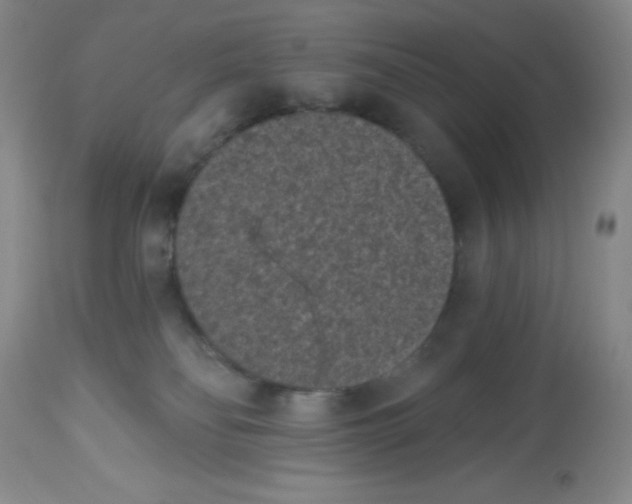 X0000113940134200910231952