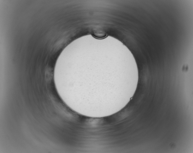 X0000113940135200910231952