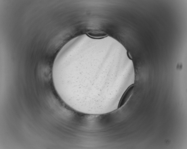 X0000113940136200910231952
