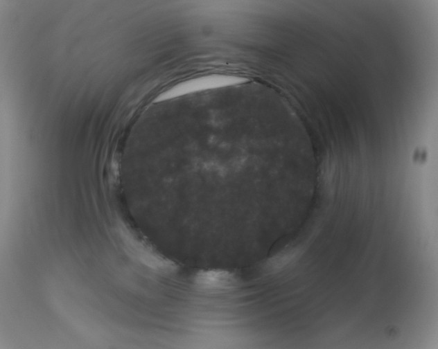 X0000113940137200910231952
