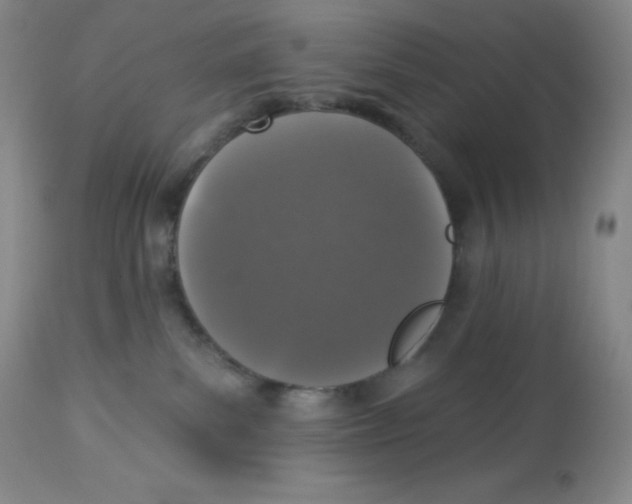 X0000113940139200910231952