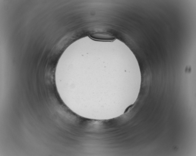X0000113940140200910231952