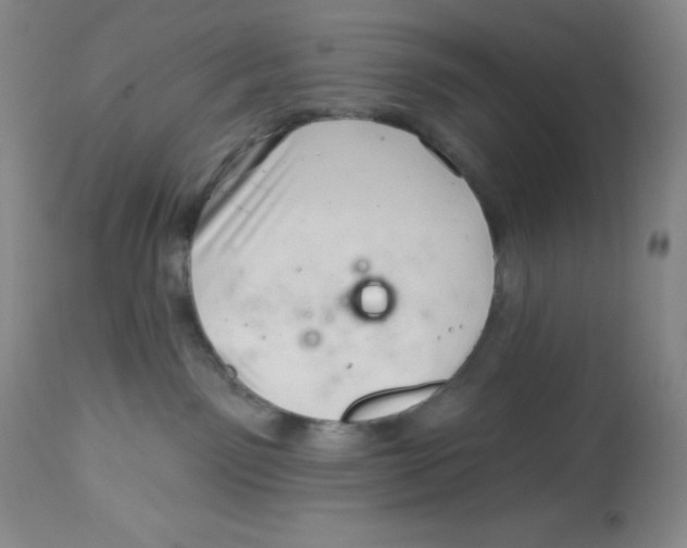 X0000113940141200910231952