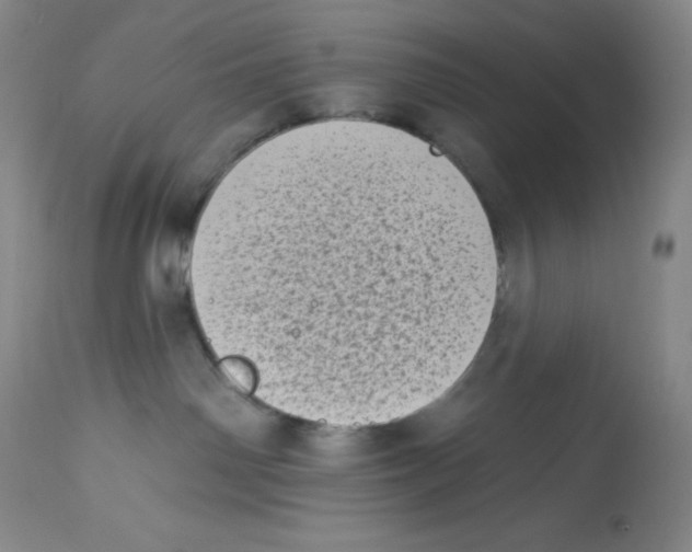 X0000113940142200910231952