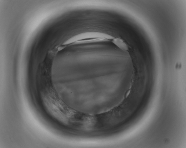 X0000113940143200910231952