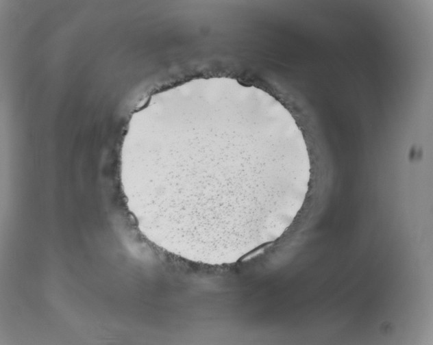 X0000113940144200910231952