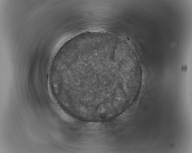 X0000113940145200910231951