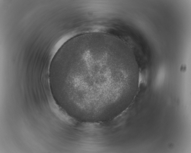 X0000113940147200910231951