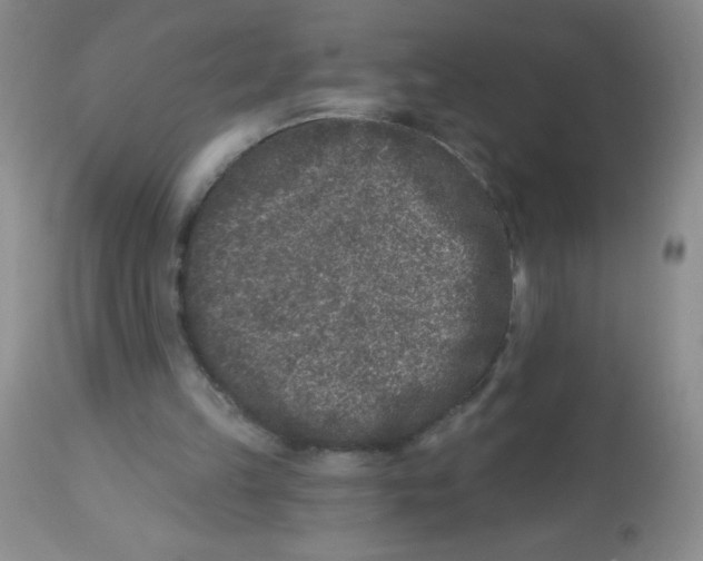 X0000113940149200910231951