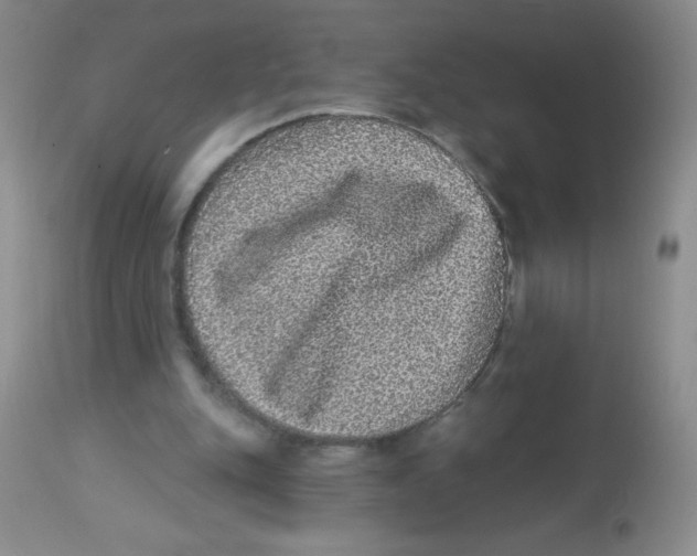 X0000113940151200910231951