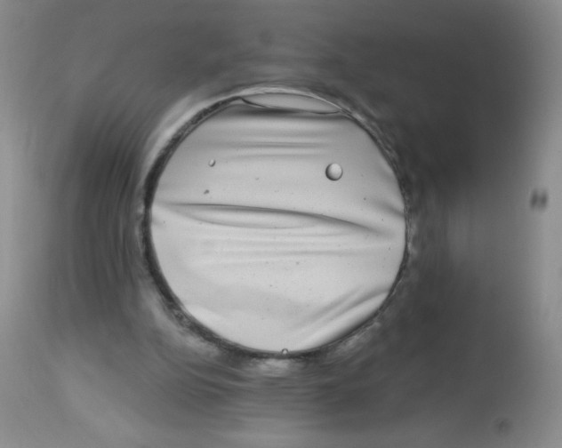 X0000113940152200910231951