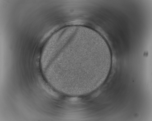 X0000113940153200910231951