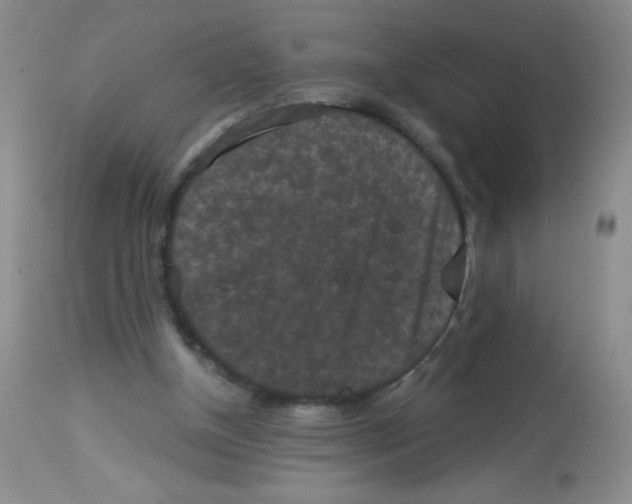 X0000113940154200910231951