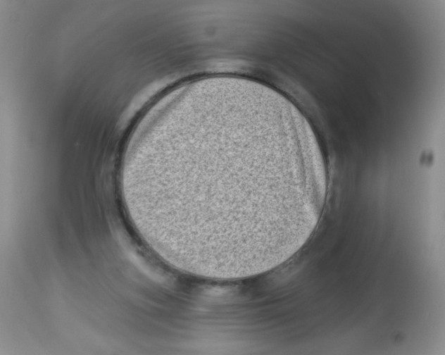 X0000113940155200910231951