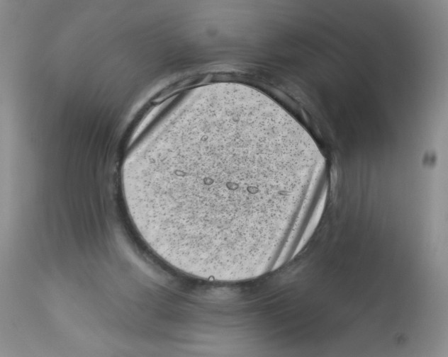 X0000113940156200910231951