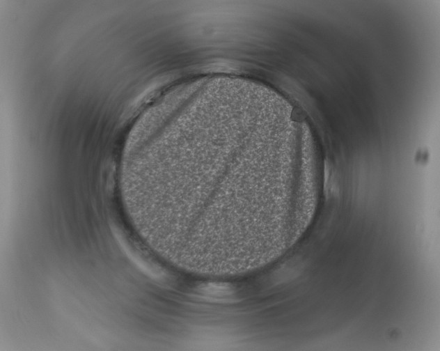 X0000113940157200910231952