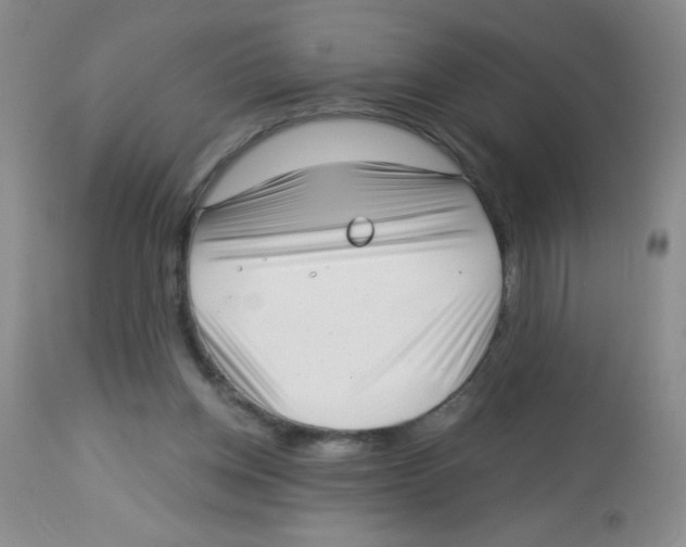 X0000113940158200910231952