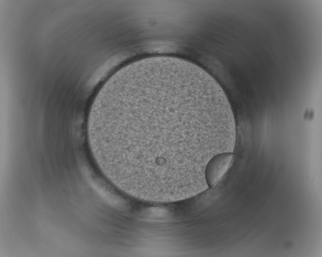 X0000113940159200910231952