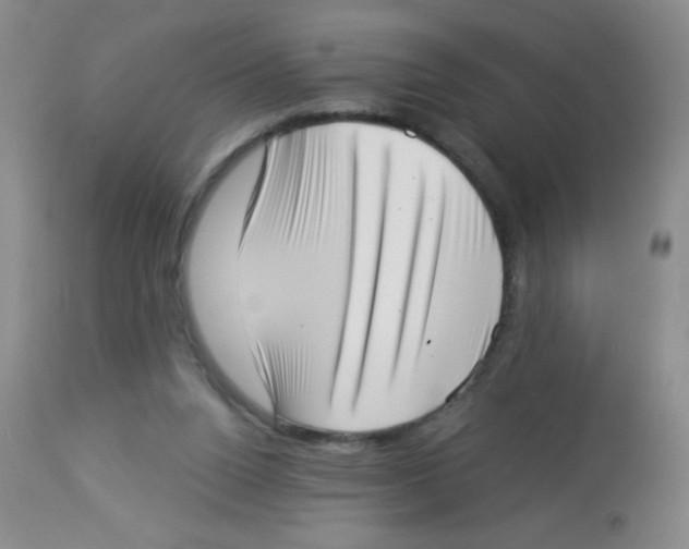 X0000113940160200910231952