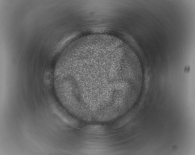 X0000113940161200910231952