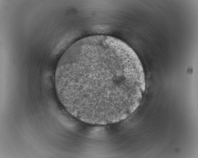 X0000113940162200910231952